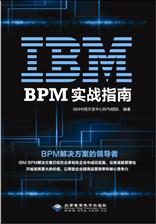 IBM BPM 实战指南